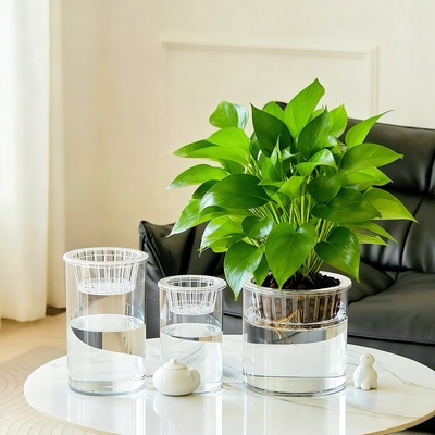 水培植物定植篮土培透明直筒圆柱形花瓶简约绿萝白掌水养缸透容器