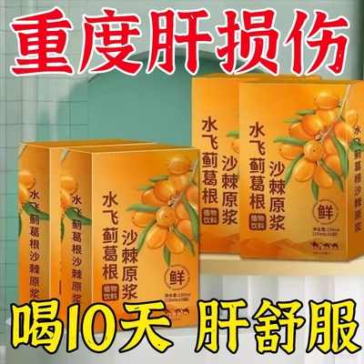 水飞蓟葛根沙棘原浆原液浓缩植物饮料VC鲜榨果汁饮酒熬夜开袋即饮