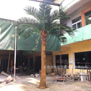 仿真海枣树厂家供应中东海藻树热带园林景观工程造景仿真沫藻树