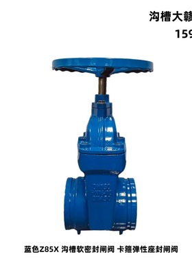 DN159蓝色给水沟槽软密封闸阀 Z85X弹性座封闸阀卡箍闸阀DN108