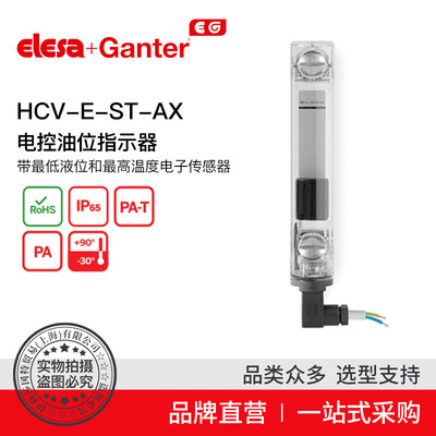 Elesa Ganter伊莉莎冈特 HCV-E-ST-AX 电控油位指示器