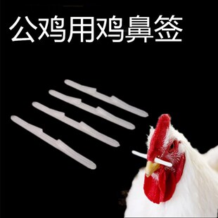 鸡鼻骨鸡鼻梁防止鸡抢食棒鸡用鼻签1000个一包公鸡鼻签