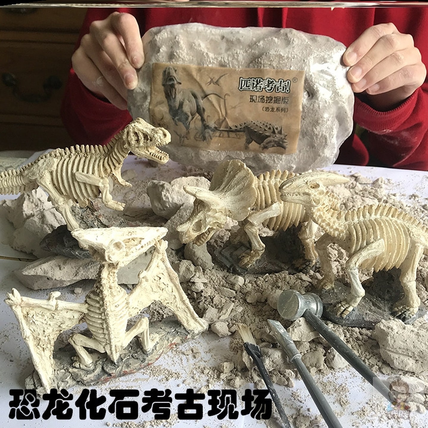 恐龙化石考古挖掘玩具大号霸王龙剑龙翼龙模型摆件儿童手工diy3-6,玩具/童车/益智/积木/模型,其他手工制作,淘宝优惠券,粉丝福利购,淘宝优惠卷