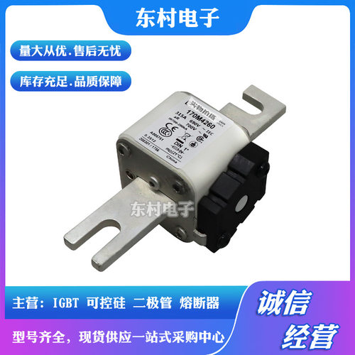 全新熔断器170M4244 170M4245 170M4246 170M4247现货