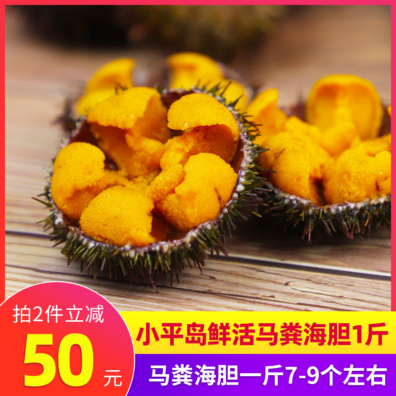 马粪海胆大连鲜活刺身日料