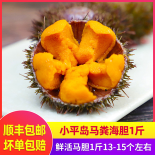 大连马粪海胆小平岛鲜活即食材料中号海胆刺身新鲜生鲜海鲜500g