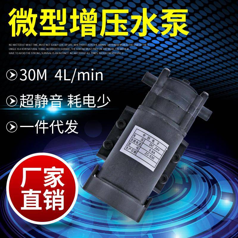 24v热水循环泵塑料水泵耐腐微型齿轮泵耐高温直流自吸泵罐装泵