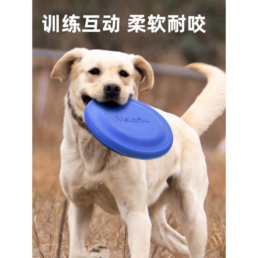 狗狗飞盘户外互动玩具软飞盘可浮水边牧柯基大型中小型犬训练飞碟