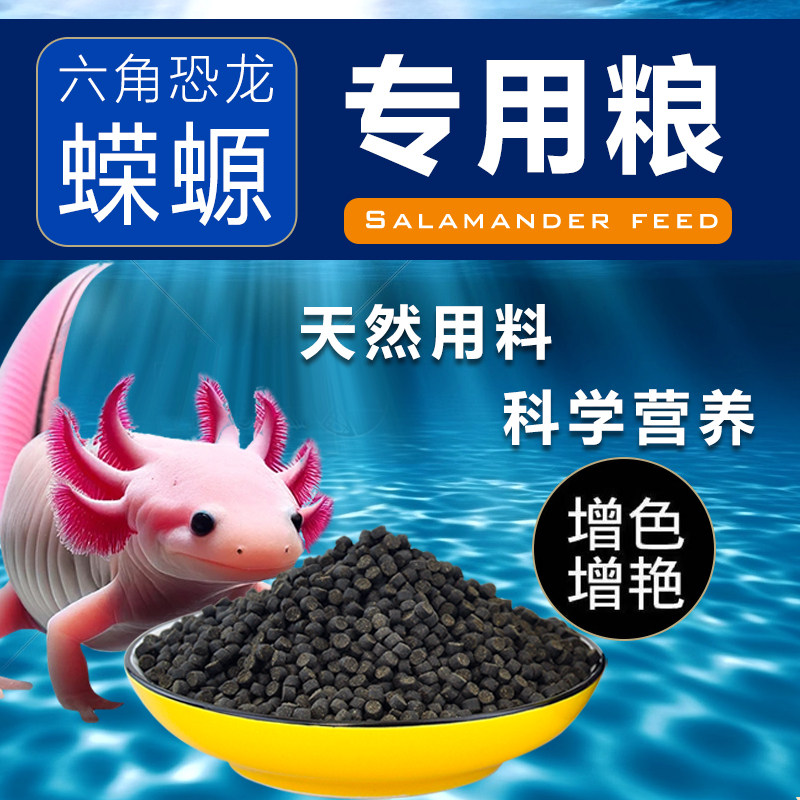 蝾螈六角恐龙鱼饲料六角龙高蛋白方下沉底型鱼食粮饲料宠物专用