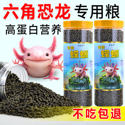 红虫底栖鱼下沉底鱼食