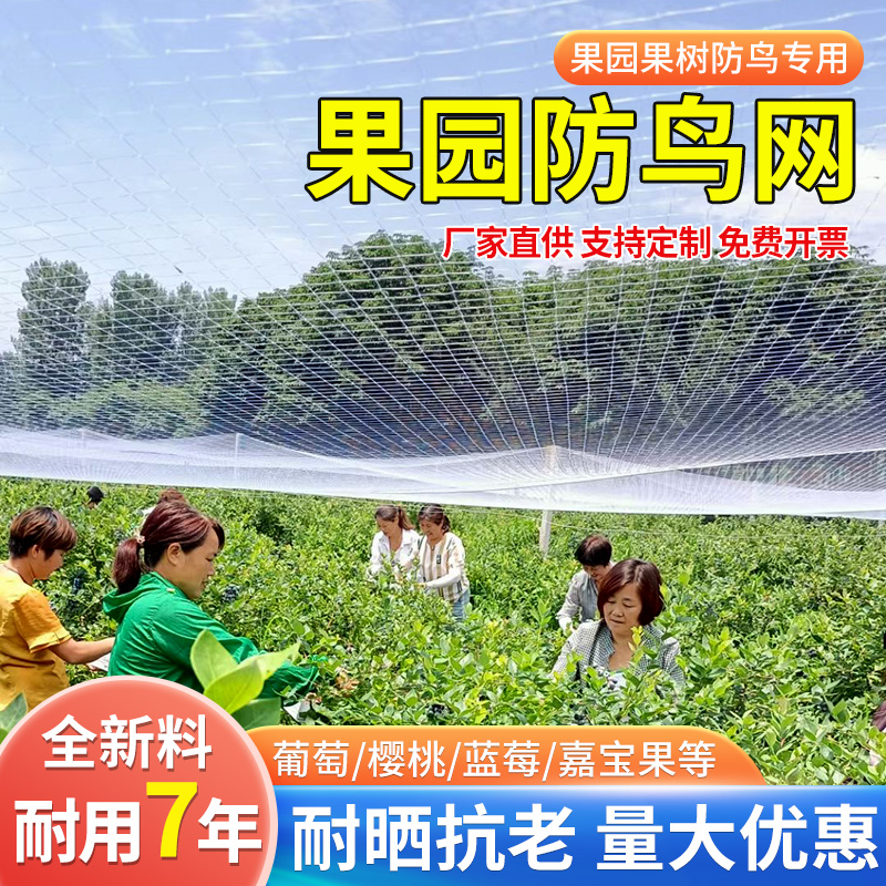 果园防鸟网草莓大棚果树樱桃葡萄梨树防鸟用网鱼塘天网尼龙防护网