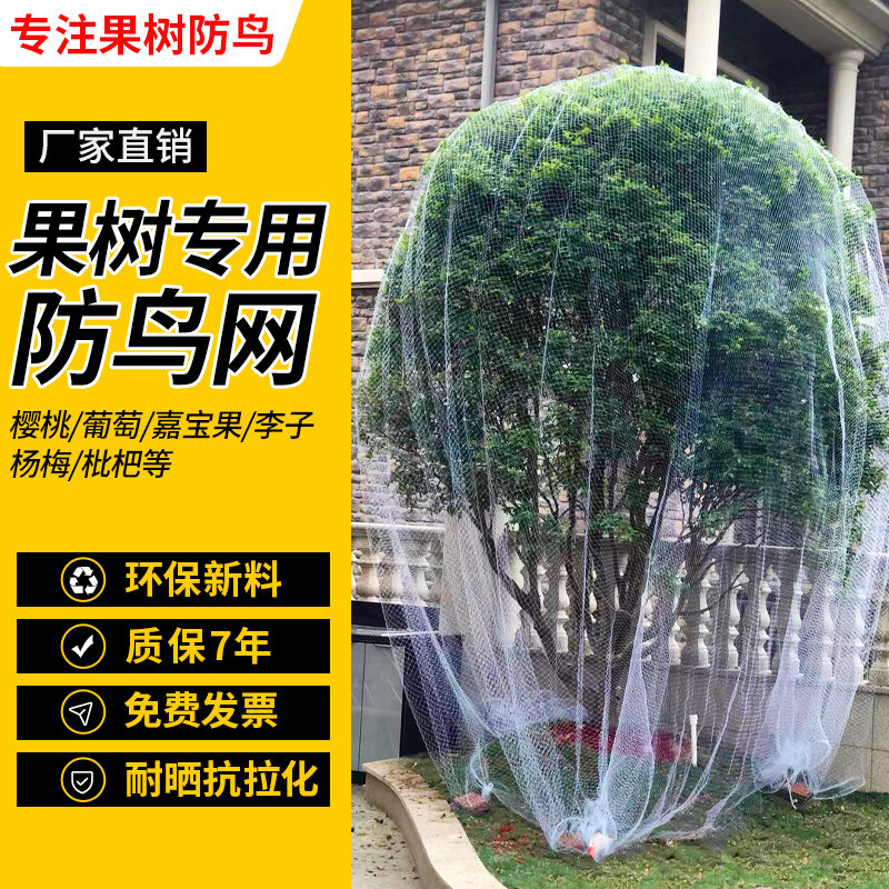 果树防鸟网嘉宝果樱桃树防鸟专用网农用防鸟丝网果园天网防鸟罩子