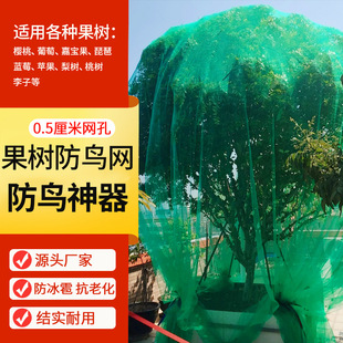 果树防鸟网罩樱桃网嘉宝果树防鸟用网尼龙丝网纱网防护罩葡萄蔬菜