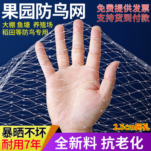 尼龙防鸟网果园果树新料加粗耐用