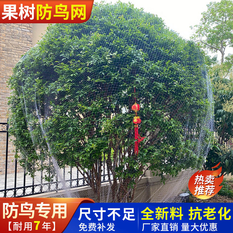 果树防鸟网嘉宝果樱桃树防鸟专用网农用防鸟丝网果园天网防鸟罩子