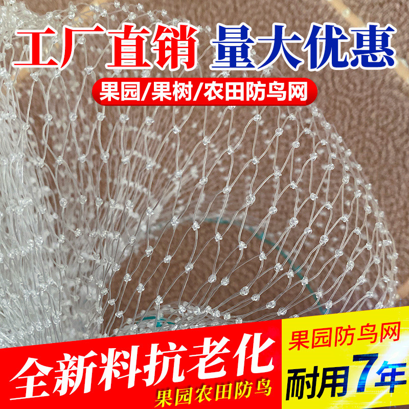 果园防鸟网尼龙丝网果树樱桃葡萄防鸟用网鱼塘天网大棚防护养殖网