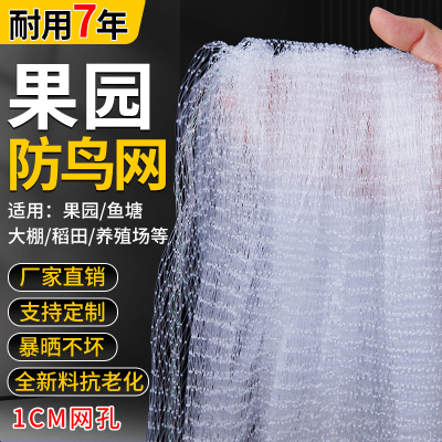 尼龙防鸟网果园果树新料加粗耐用