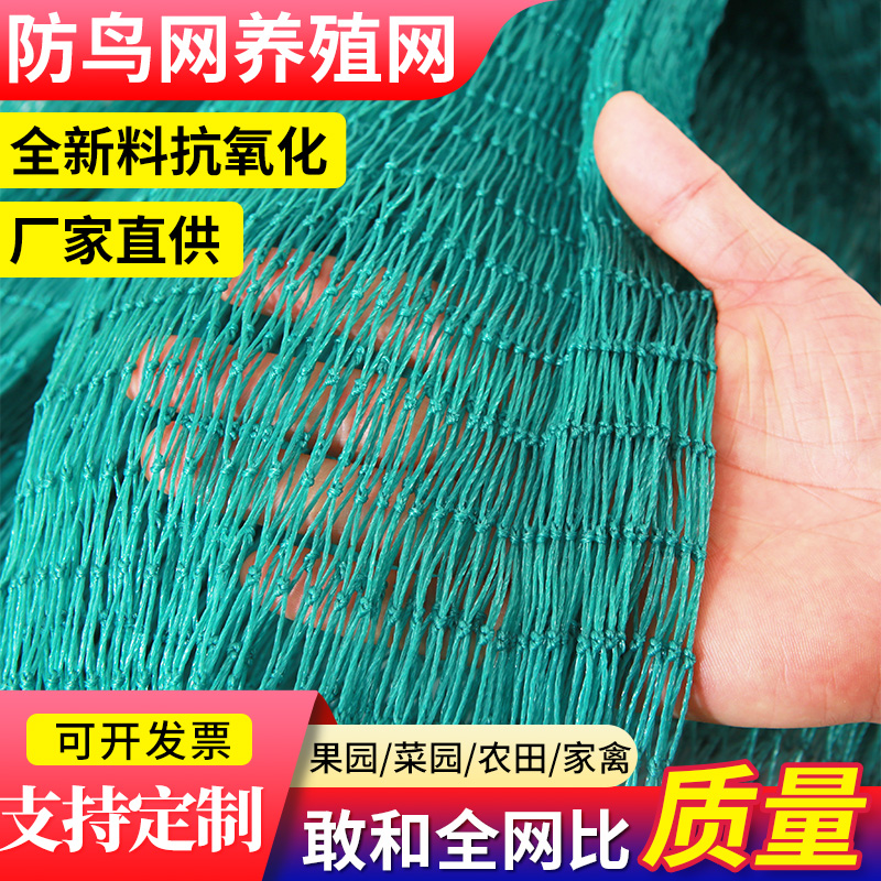 防鸟网养殖网果园果树大棚尼龙线樱桃树葡萄园鱼塘用天网防护围网