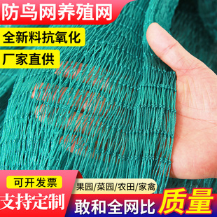 防鸟网养殖网果园果树大棚尼龙线樱桃树葡萄园鱼塘用天网防护围网