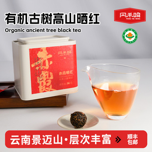 有机古树红茶96g 云南高山古树大乔木花果香层次丰富晒红 罐