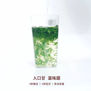 潮汕特产野生油甘叶茶 油柑茶消食开胃解腻甘甜养生茶可食用泡茶
