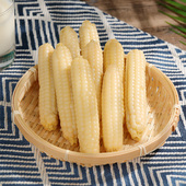 云南西双版 纳拇指小玉米新鲜手指香糯玉米黏小孩早餐真空甜糯玉米