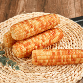 西双版 纳香糯小玉米新鲜花糯香甜花朵糯玉米棒真空袋粗粮健康早餐