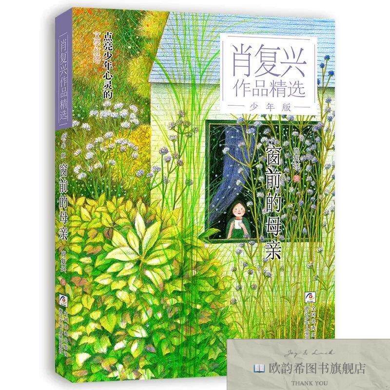 全新正版肖复兴作品精选·少年版：窗前的母亲 ,r肖复兴著浙江少