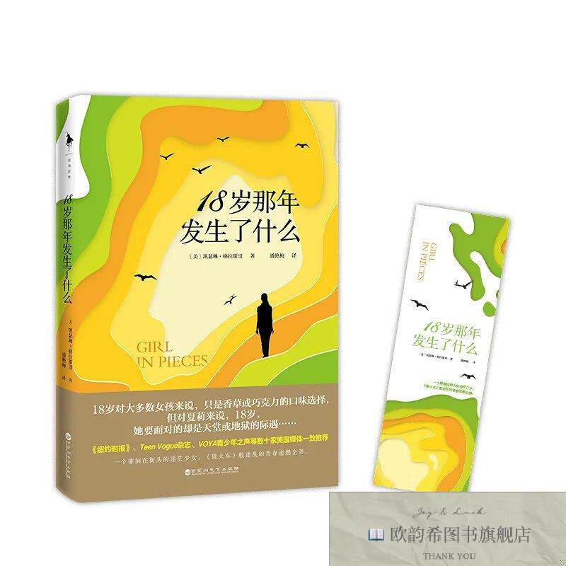 全新正版18岁那年发生了什么凯瑟琳格拉斯哥著一个徘徊在街头的迷