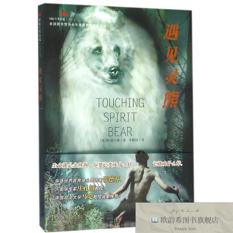 全新正版遇见灵熊[美]班·麦可森著新蕾出版社
