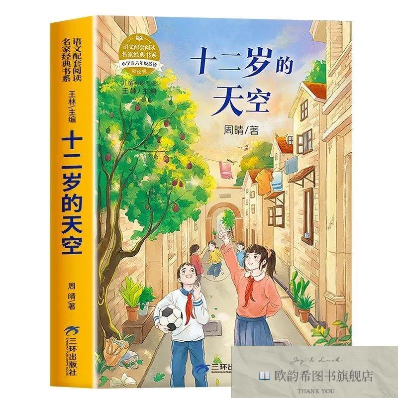 全新正版语文配套阅读名家经典书系 三环 十二岁的天空周晴三环出