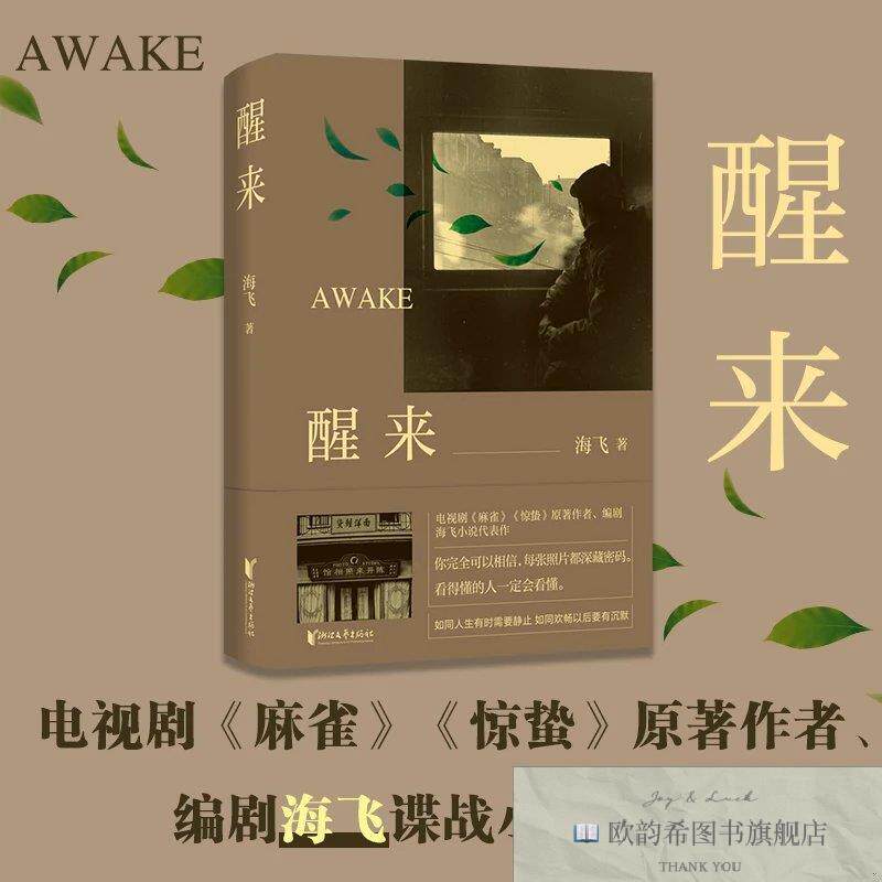 全新正版醒来 谍战小说 ,k海飞著浙江文艺出版社