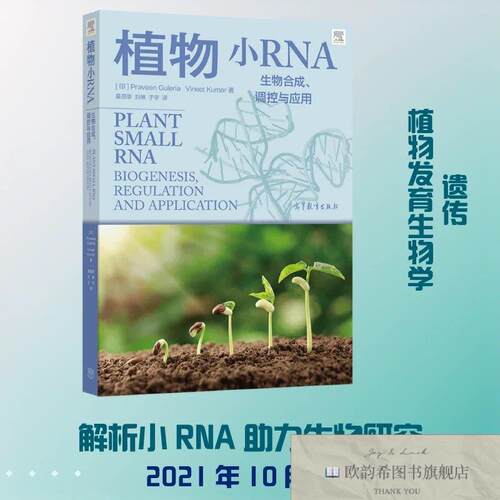 素质教育 新华书店全新正版书籍