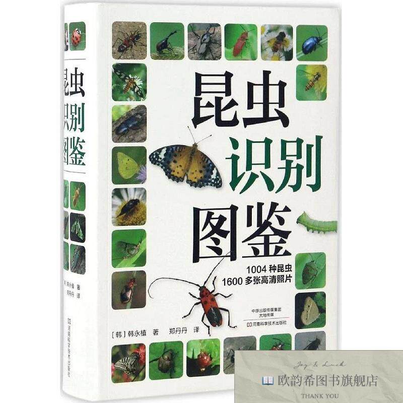 全新正版昆虫识别图鉴郑丹丹译河南科学技术出版社