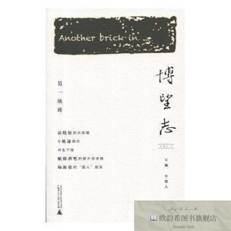 全新正版博望志：另一块砖小肥人广西师范大学出版社集团有限公司