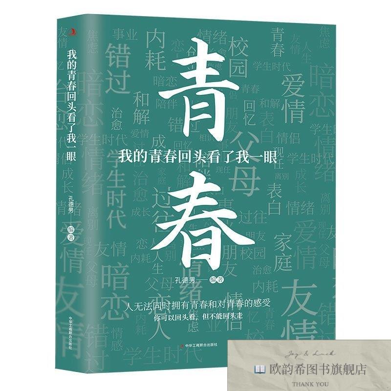 全新正版的青春回头看了一眼 2025新作 青春成长遗憾句子