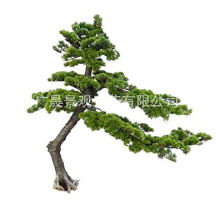 仿真倒挂松树大型室内景观客厅大堂天花板吊顶装饰禅意吊件假松树