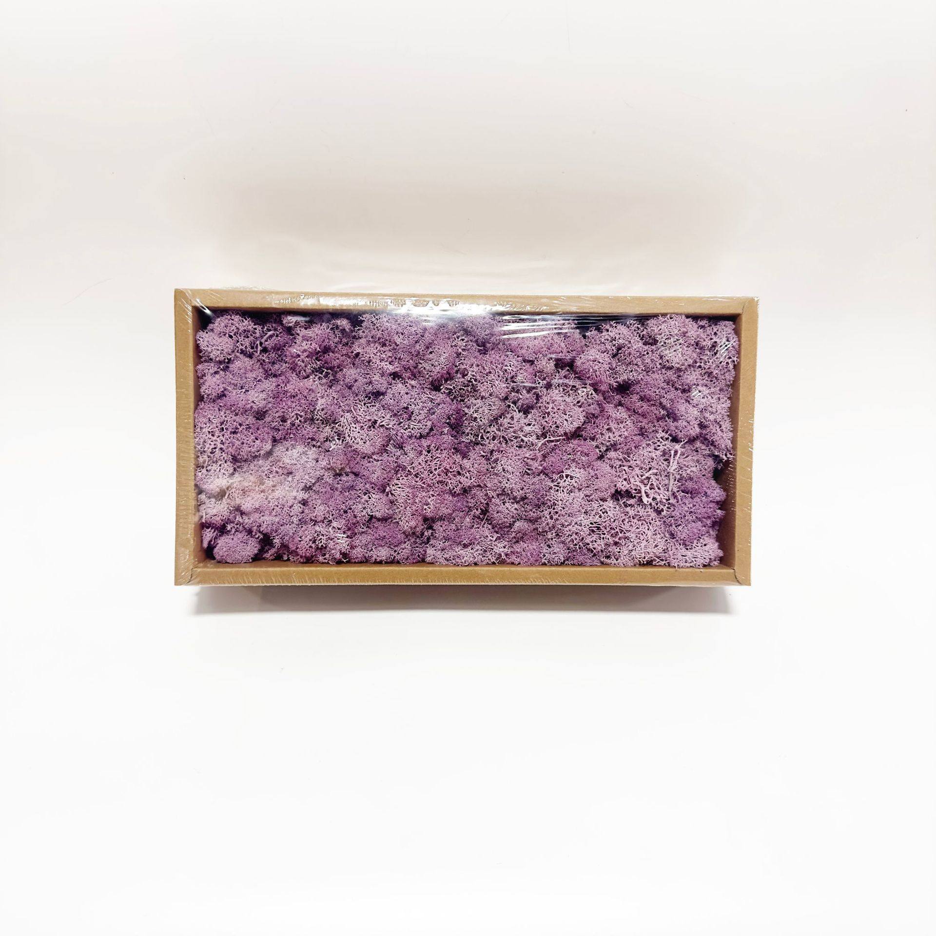 永生苔藓永生花花材无杂质永生苔藓DIY手工保鲜花配材云锦厂家批,家居饰品,冰箱贴,淘宝优惠券,粉丝福利购,淘宝优惠卷