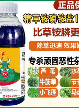 速草霸精草铵磷铵盐除草烂根剂正品杀恶性杂草小飞蓬牛筋草农药