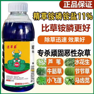 速草霸精草铵磷铵盐除草烂根剂正品杀恶性杂草小飞蓬牛筋草农药