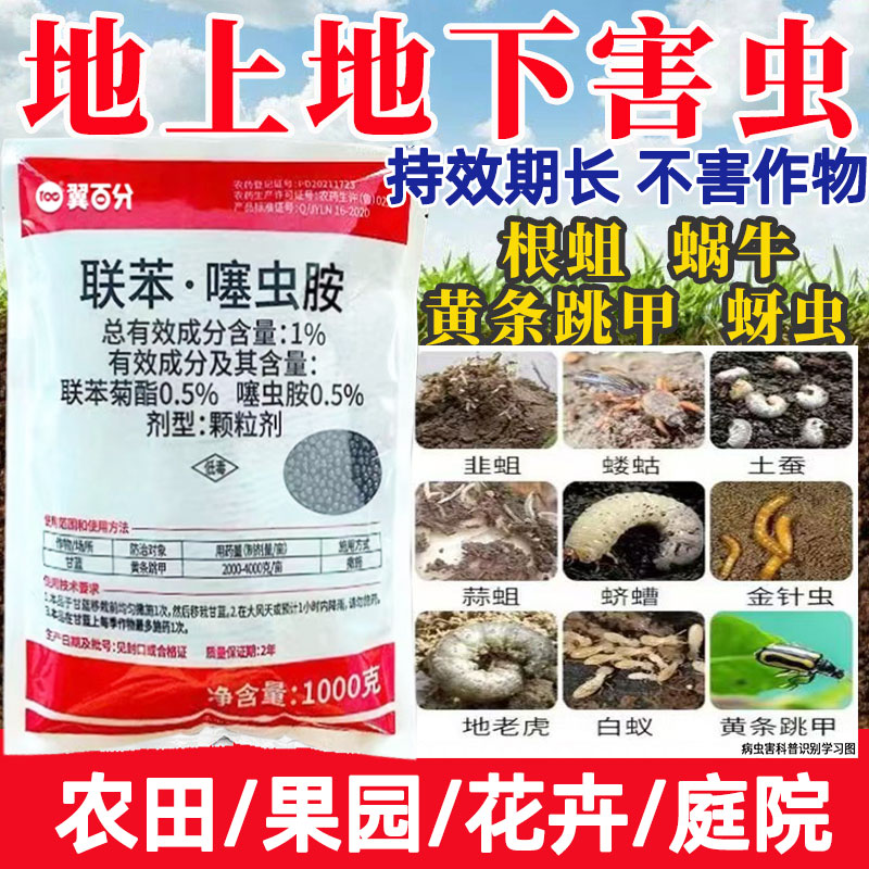 1%联苯噻虫胺韭蛆翼百分