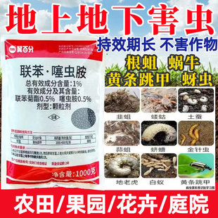 翼百分联苯噻虫胺颗粒花生土豆地下害虫专用药蛴螬白蚁农药杀虫剂