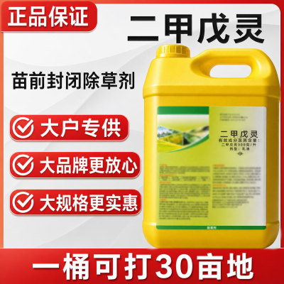 330克/升二甲戊灵苗前封杀草籽