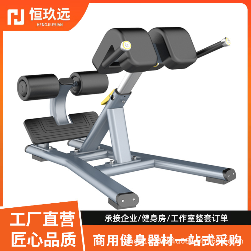 划船机商用健身房 可调节哑铃凳卧推凳健身椅健身凳 深蹲架罗马椅