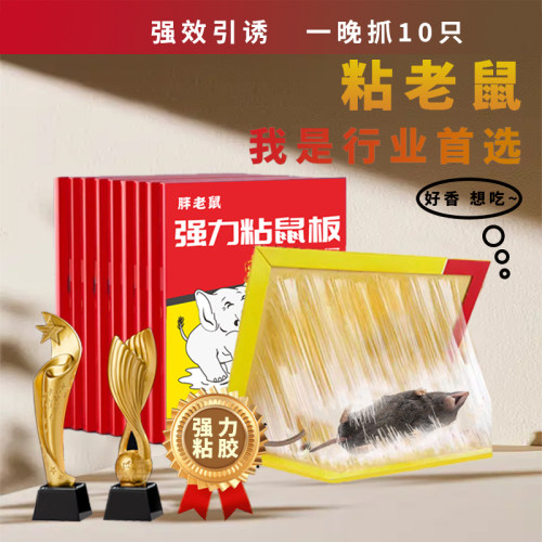 高强力家用粘鼠板自带饵料粘鼠板强力捕鼠神器厂库超市谷厂专用板