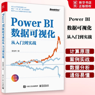 正版Power BI数据可视化从入门到实战 Power BI入门与进阶 电子工业出 数据分析及仪表板设计整体流程 Power BI核心计算原理书籍