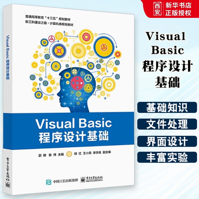 Visual Basic程序设计基础 vb编程语言从入门到精通vb6.0程序设计书籍 计算机编程教程 VB入门基础 vb语句数据库基础知识大全教材