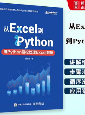 正版从Excel到Python用Python轻松处理Excel数据 Python数据处理指南 电子工业 元组处理技术openpyxl库及Python Excel应用书籍