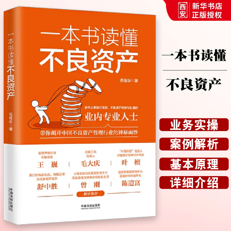 正版一本书读懂不良资产中国法制 法律出版社 不良资产行业运作方式 不良资产业务实操案例解析原理 不良资产司法实务法律参考书籍