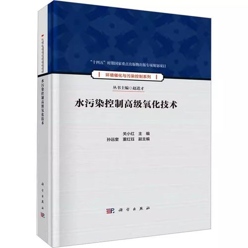 正版水污染控制高级氧化技术 关小红 科学出版社 环境催化与污染控制系列十四五时期国家重点出版物出版专项规划项目书籍